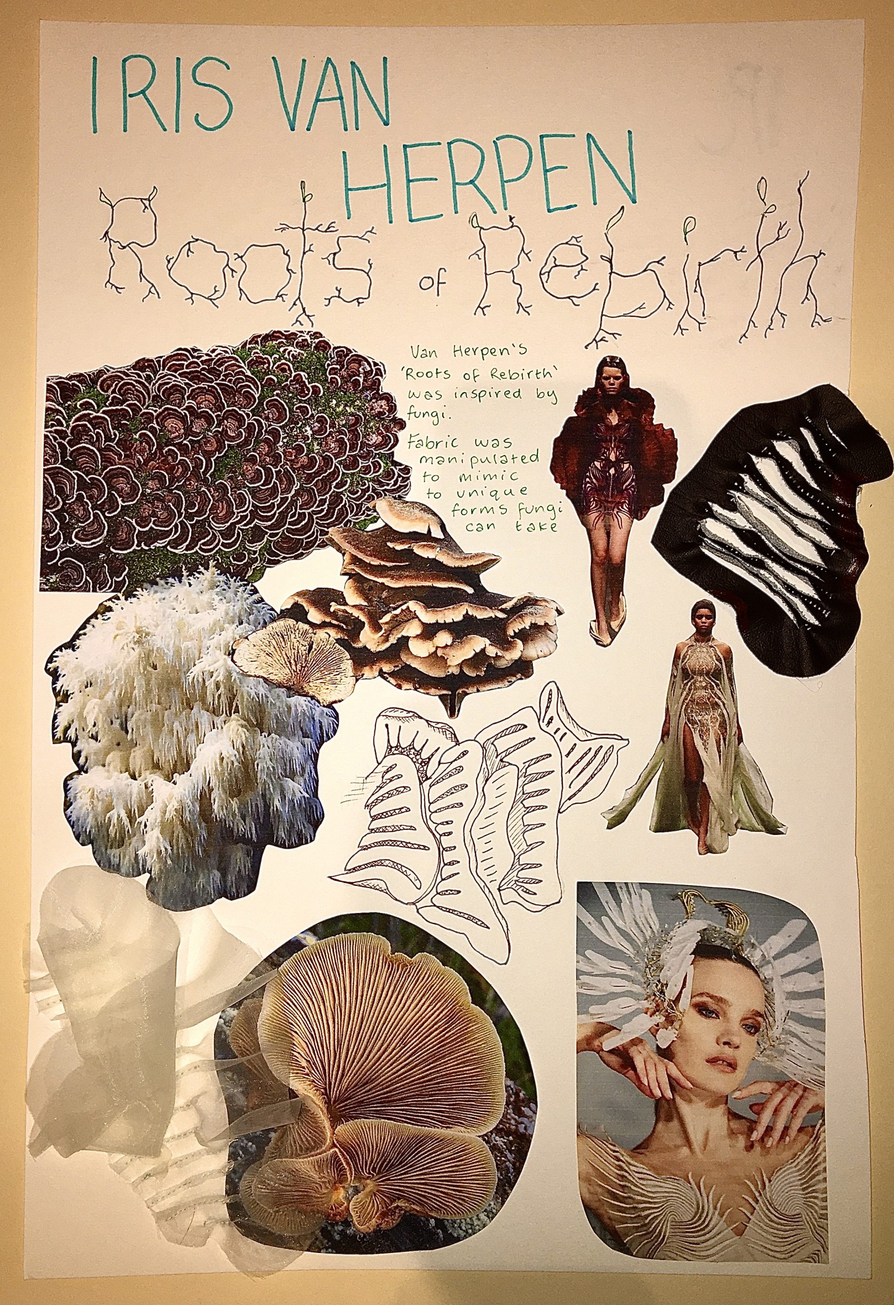 Roots of Rebirth, Collections